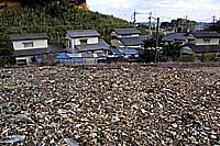 柴田解体の不法投棄現場