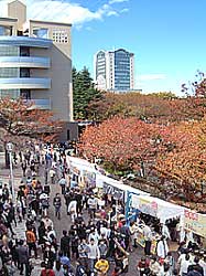 創価大学創大祭