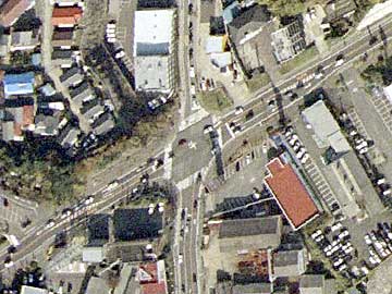 �����_�̎ʐ^