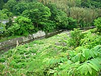 日立市内下深荻の里川改修現場