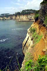 ������������t�߂̏󋵁F�N���b�N����Ƒ傫�Ȏʐ^���������������܂�