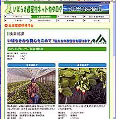 ���΂炫�_�Y���l�b�g�J�^���O�o�b��