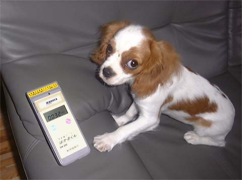 �{�̘b��A���̂P��