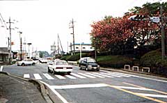 �����_�̎ʐ^