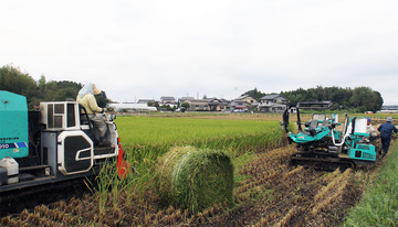 飼料用米の収穫風景