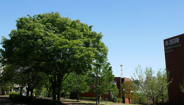 0c3499cb-s.jpg