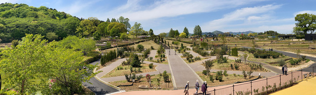 10513a7c-s.jpg