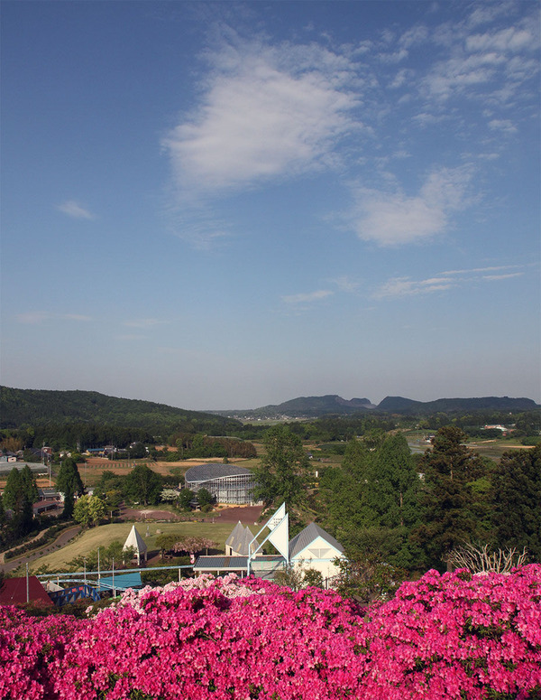 茨城県フラワーパーク