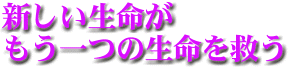 981005sai_1