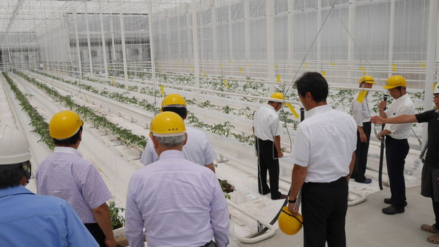 最新鋭の植物工場