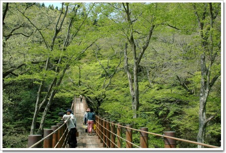 花貫渓谷（高萩市）