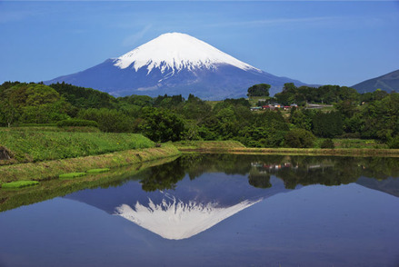 富士山写真～四季の富士～より