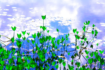 130706image