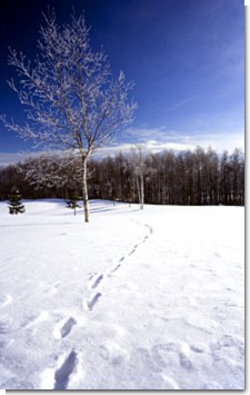 090126ph.jpg