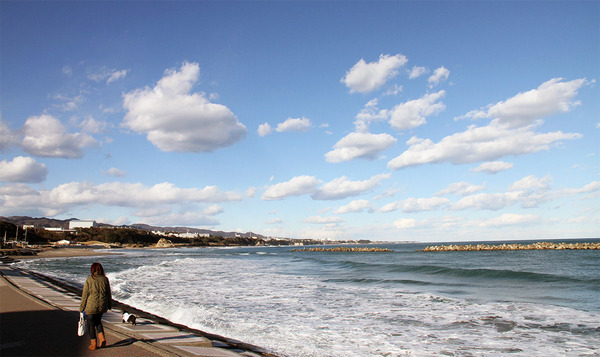 2b439947-s.jpg