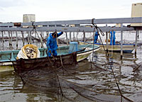 031113kasumigaura