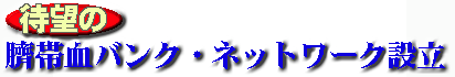 990815sai_net