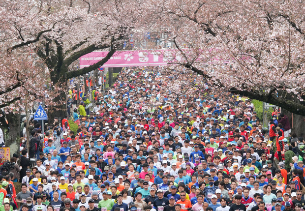 日立さくらロードレース