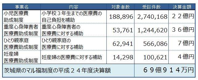 平成２４年度マル福関連決算状況