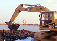 030111chip_1