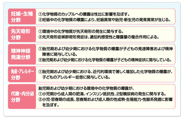 エコチル調査の分野別仮説