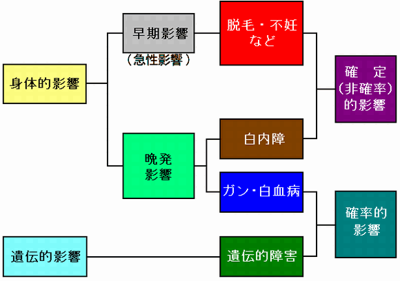 991115chart_11