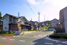 44441cfd.jpg