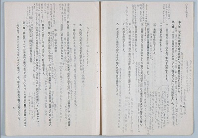 帝国憲法改正案