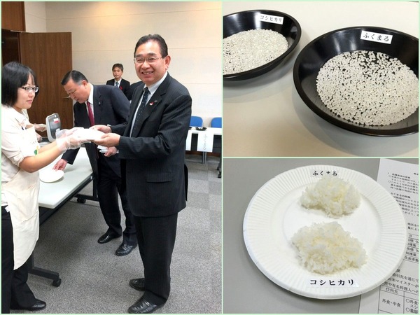 ふくまる試食会