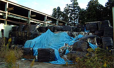 クリックすると大きな写真になります。