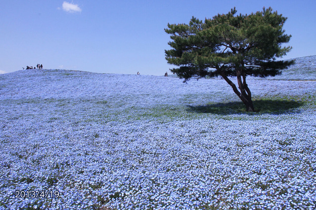 20130419
