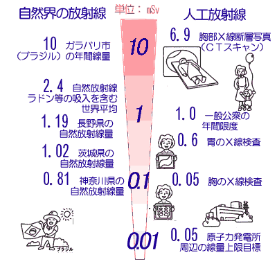 991115chart_6