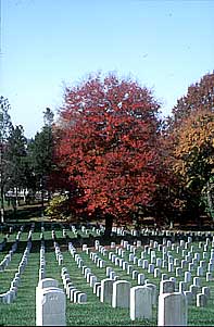 010815usa