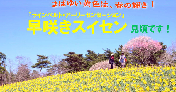 国営ひたち海浜公園
