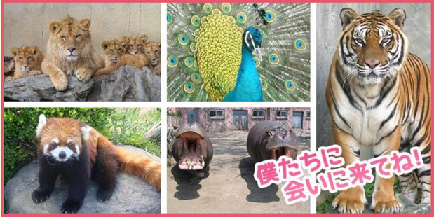 かみね動物園
