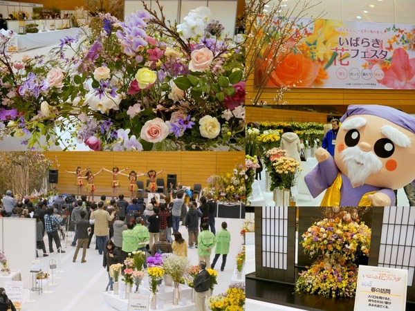 いばらき花フェスタ２０１４