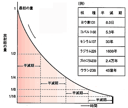991115chart_5