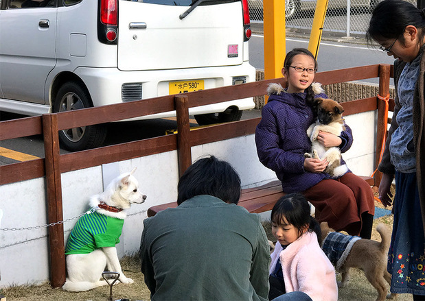 水戸市内で開催された保護犬の譲渡会