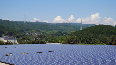 67e472a5-s.jpg