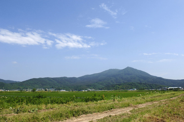 6a920494-s.jpg