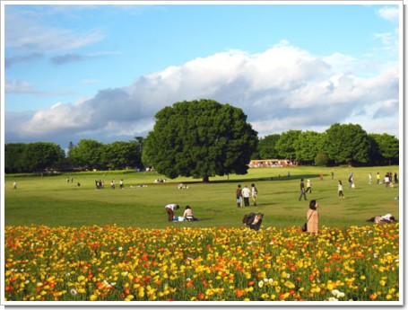 国営昭和の森公園
