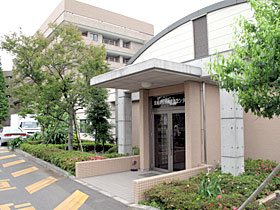 71dd279e.jpg?280210