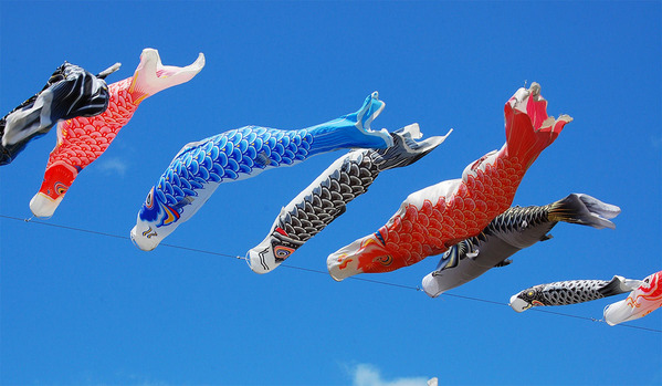 青空に泳ぐ鯉のぼり