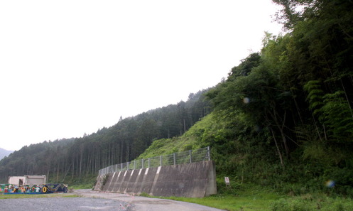 大川小学校の裏山