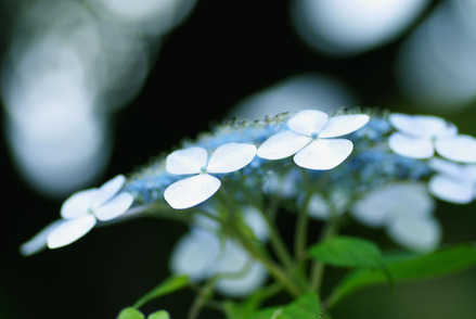 130701image