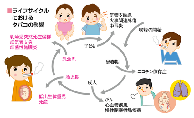 喫煙の影響（ハッピー・ノート ドットコムより）