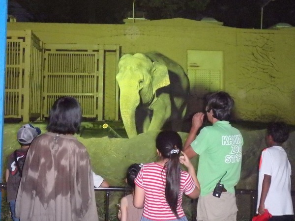 夜の動物園