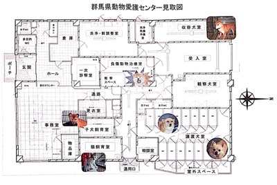 胴縁愛護センターの見取り図
