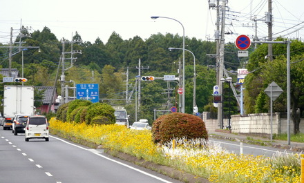国道６号ひたちなか市内