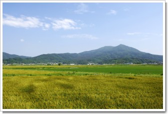 筑波山の麦秋